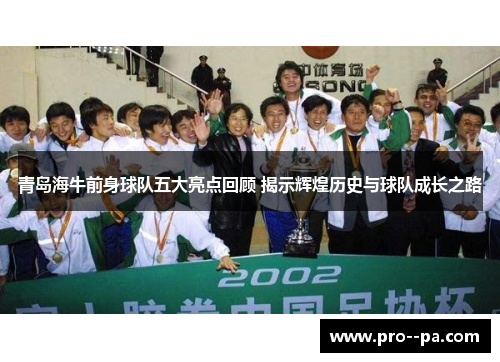 青岛海牛前身球队五大亮点回顾 揭示辉煌历史与球队成长之路