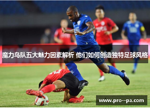 魔力鸟队五大魅力因素解析 他们如何创造独特足球风格