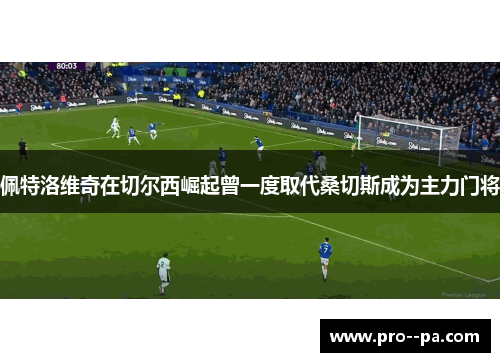 佩特洛维奇在切尔西崛起曾一度取代桑切斯成为主力门将