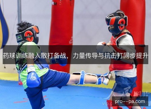药球训练融入散打备战，力量传导与抗击打同步提升